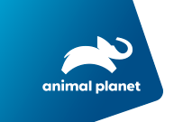 animalplanet-logo